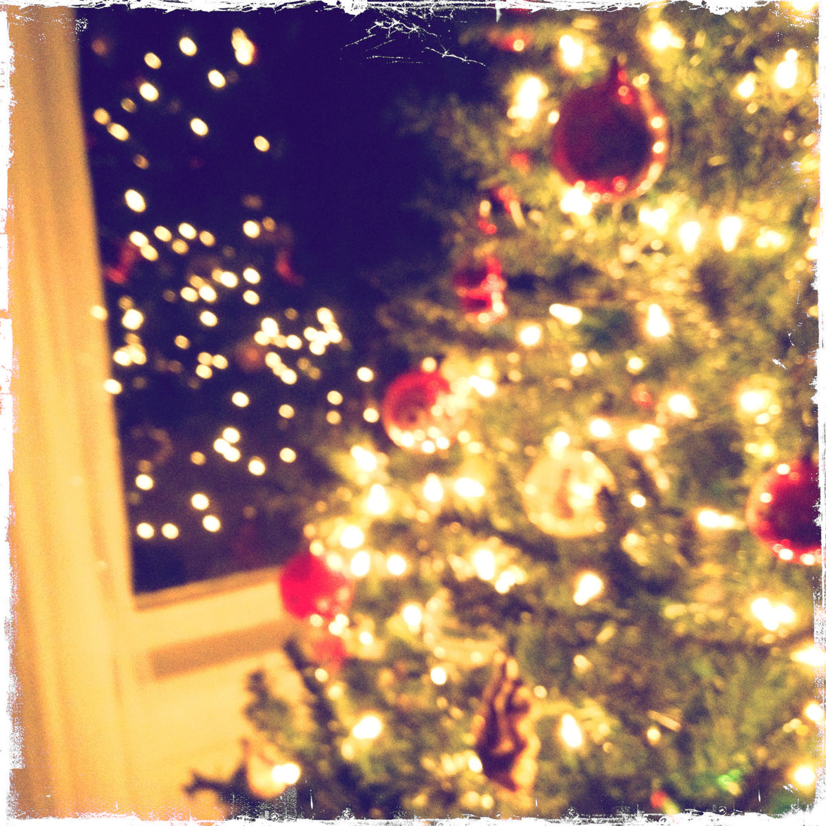 Christmas Tree Color