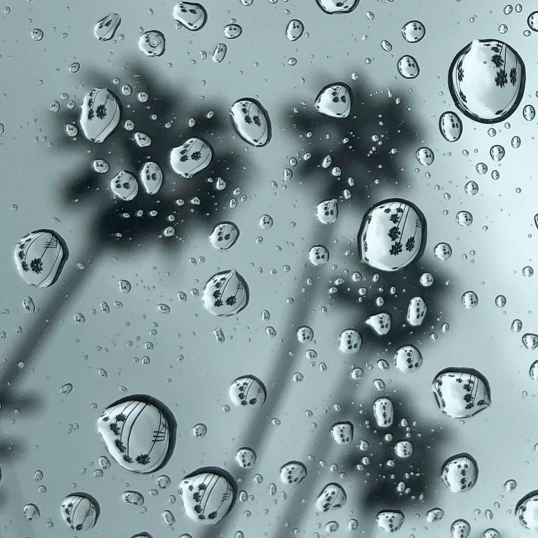 Palm Tree Raindrops