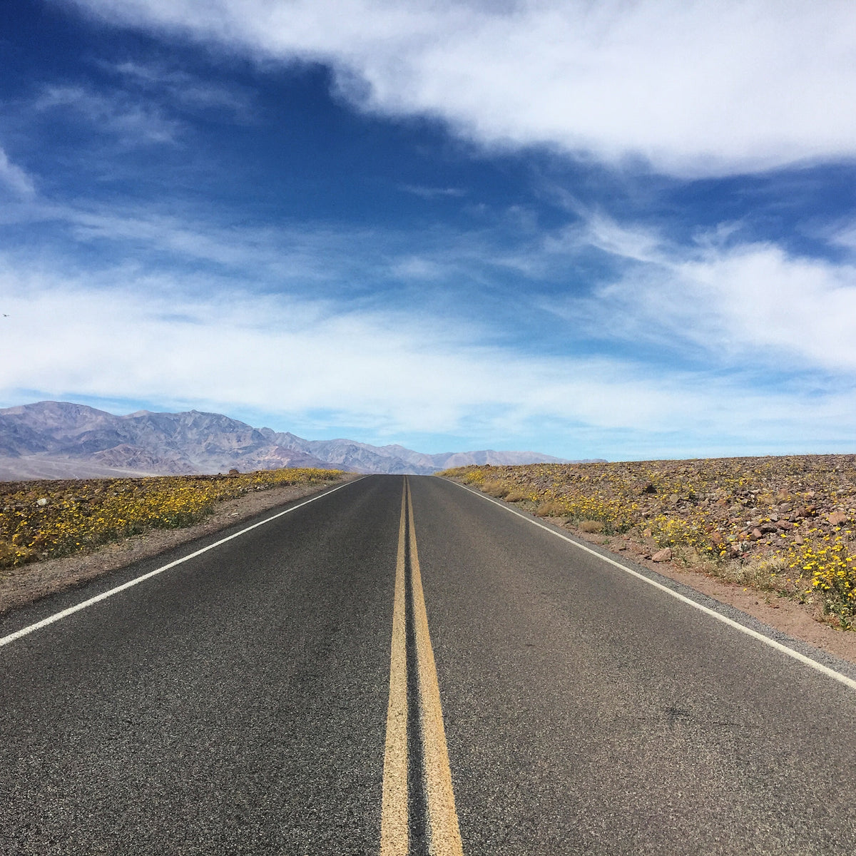 Road Trip