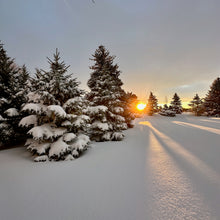 Load image into Gallery viewer, Christmas Sunrise