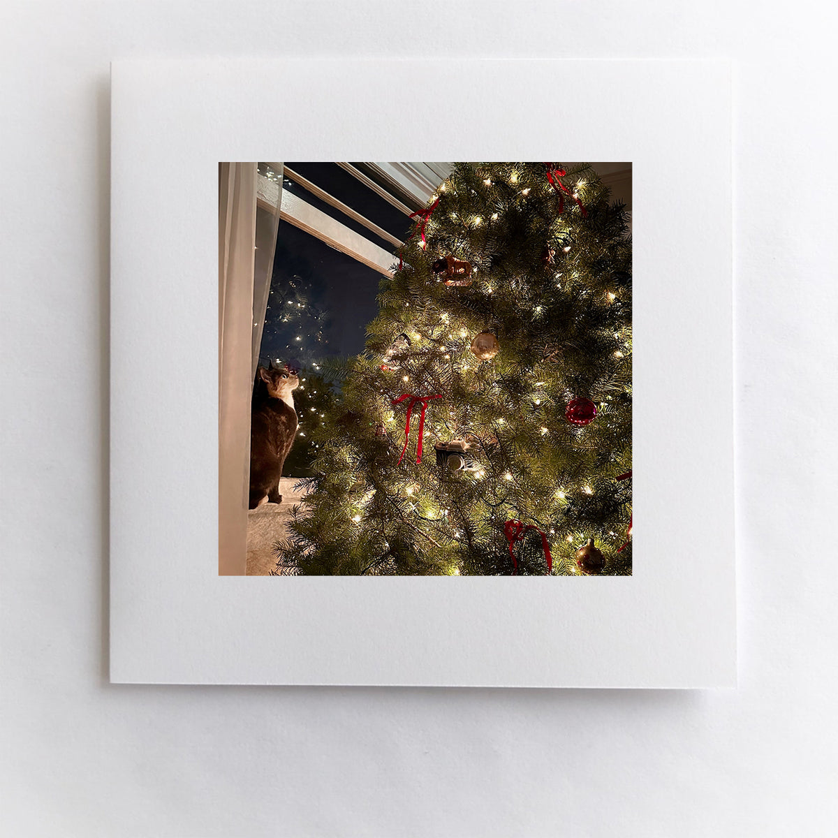 Christmas Wonder