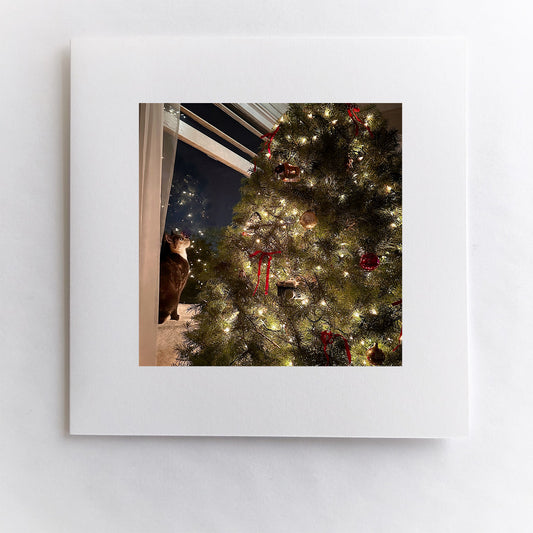 Christmas Wonder