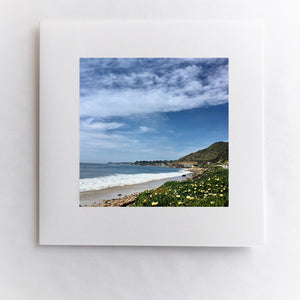 From Malibu With Love