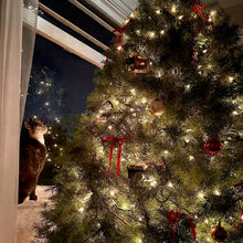 Load image into Gallery viewer, Christmas Wonder