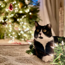 Load image into Gallery viewer, Meowy Christmas