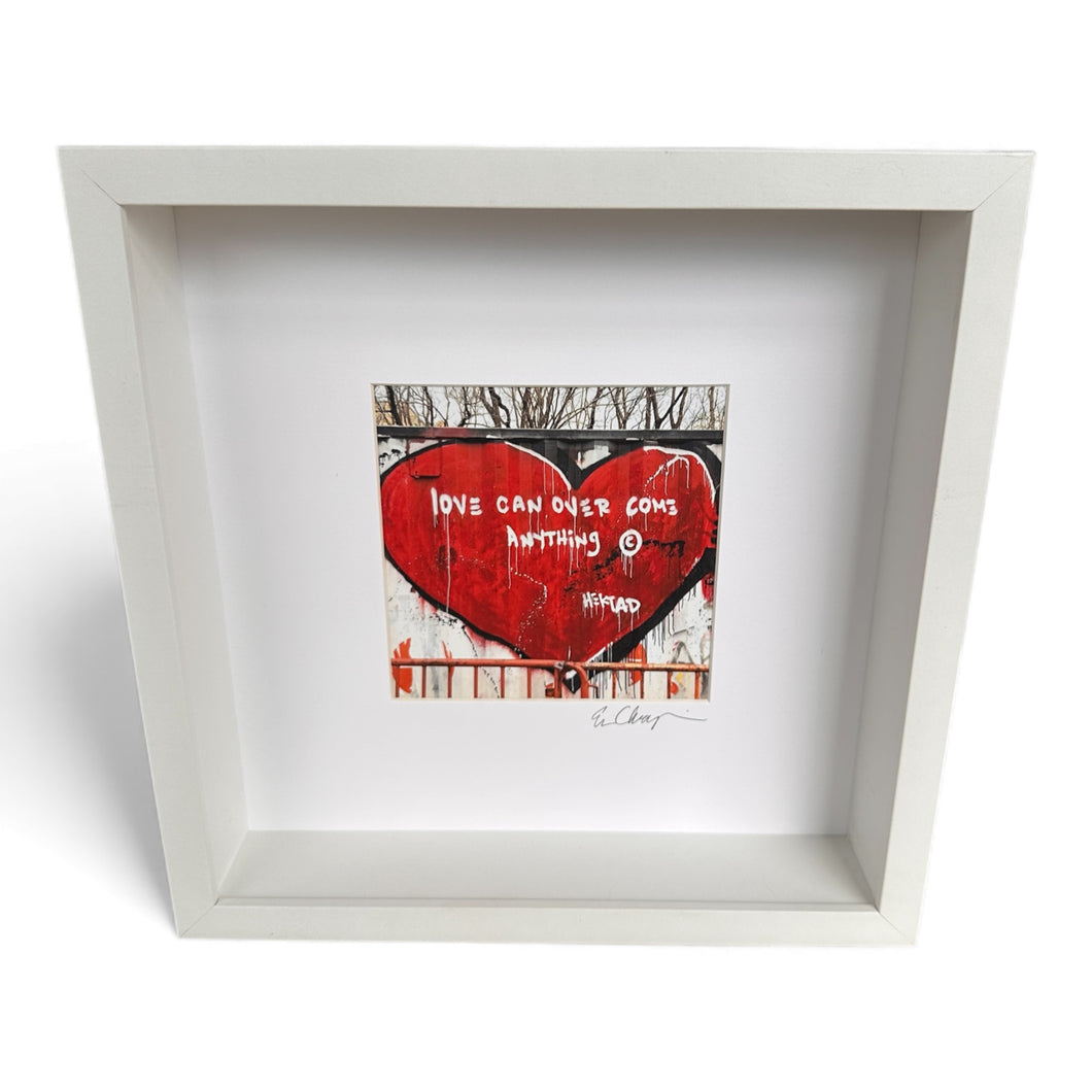 Love Can Overcome Anything Framed Print