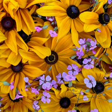 Load image into Gallery viewer, Petal Duet