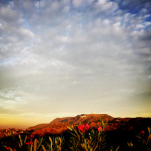 Load image into Gallery viewer, Postcard From the Dream