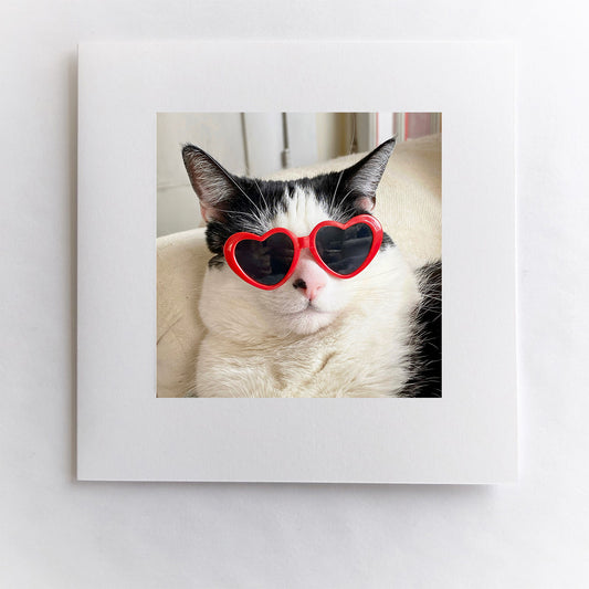 Cool Cat