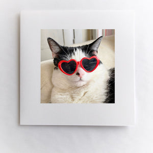 Cool Cat