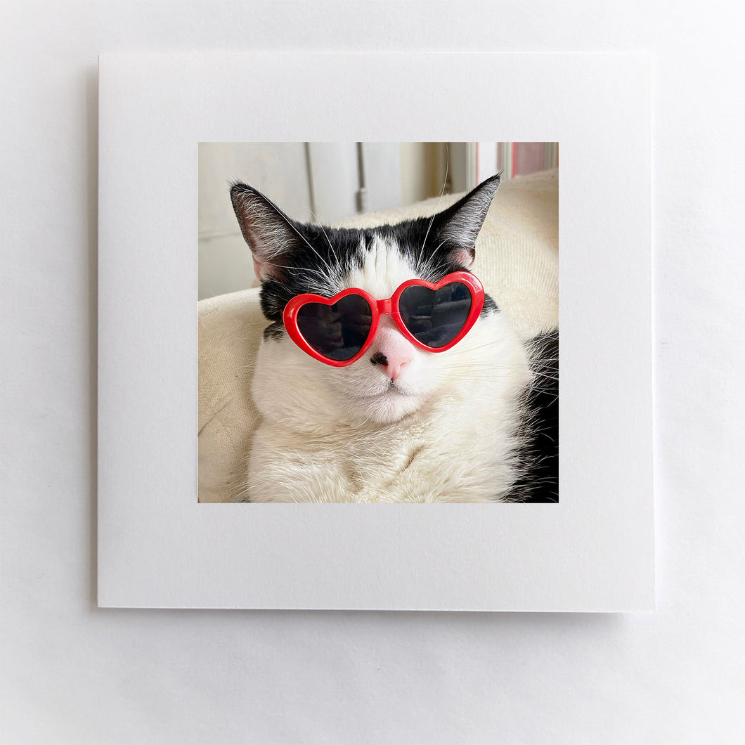 Cool Cat
