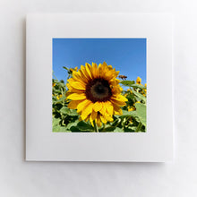 Load image into Gallery viewer, Even Bees Fall In Love