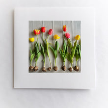 Load image into Gallery viewer, The Spring Squad