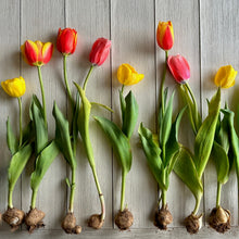 Load image into Gallery viewer, The Spring Squad