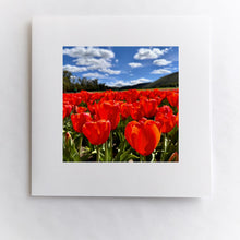 Load image into Gallery viewer, Blushing Field