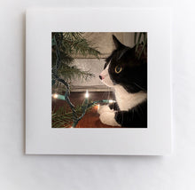 Load image into Gallery viewer, Wonder in her Eyes