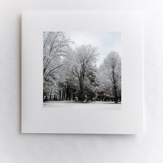 Winter Wonderland