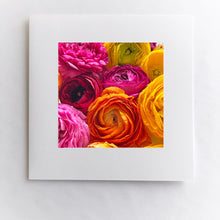 Load image into Gallery viewer, Rainbow Ranunculus
