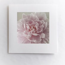 Load image into Gallery viewer, Pink Peony