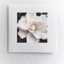 Load image into Gallery viewer, Gardenia Dreams