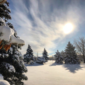 Christmas Morning