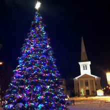 Load image into Gallery viewer, LeRoy Christmas Tree