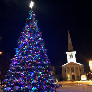 LeRoy Christmas Tree