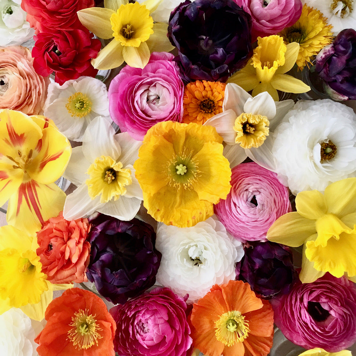 Flower Fever