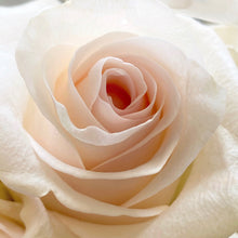 Load image into Gallery viewer, Amy&#39;s Rose
