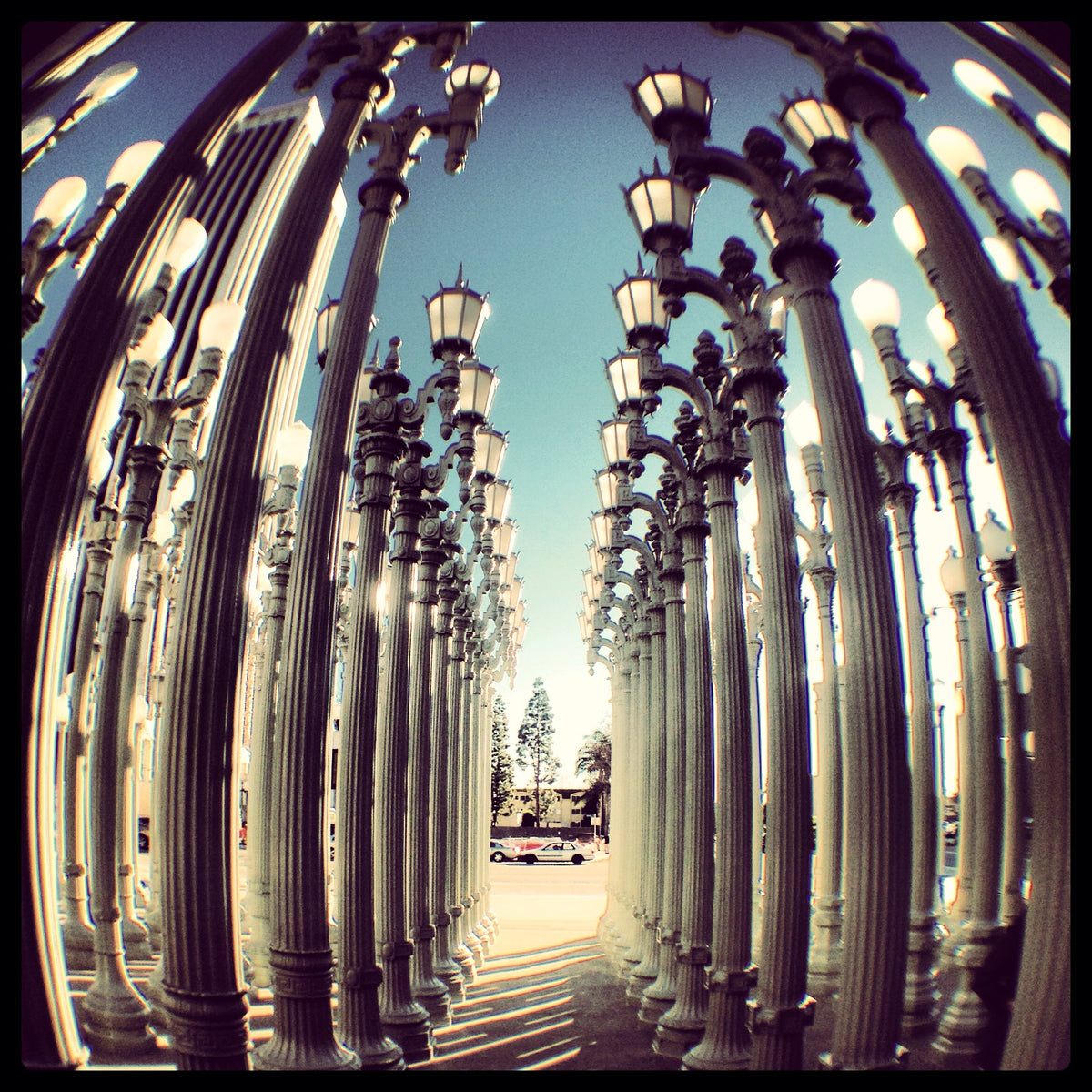 LACMA Fish Eye