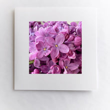 Load image into Gallery viewer, Lilac