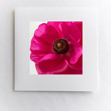 Load image into Gallery viewer, Painted Ranunculous