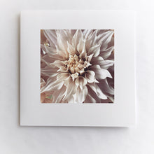 Load image into Gallery viewer, Pink Dalhia