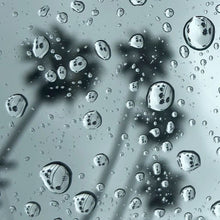 Load image into Gallery viewer, Palm Tree Raindrops