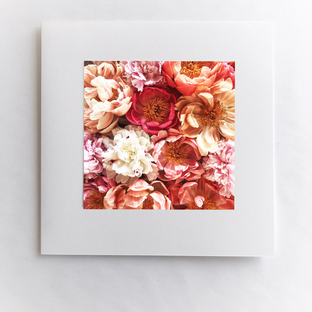 Love in Bloom