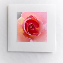 Load image into Gallery viewer, Baby Pink Rose