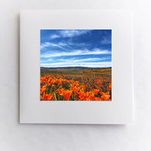 Load image into Gallery viewer, Poppy Sky