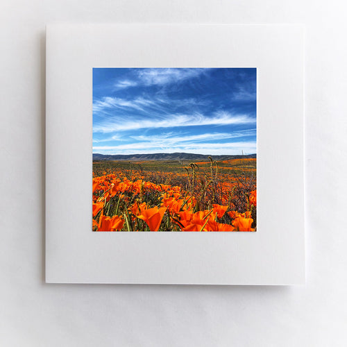 Golden State Bloom