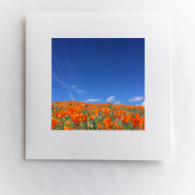 Load image into Gallery viewer, Poppies to the Sky