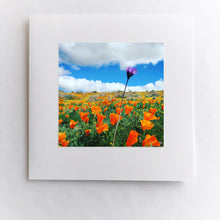 Load image into Gallery viewer, Purple Wildflower in the Poppies