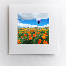 Load image into Gallery viewer, California Rebel