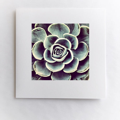 Fierce Bloom