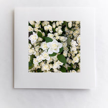 Load image into Gallery viewer, Still the One